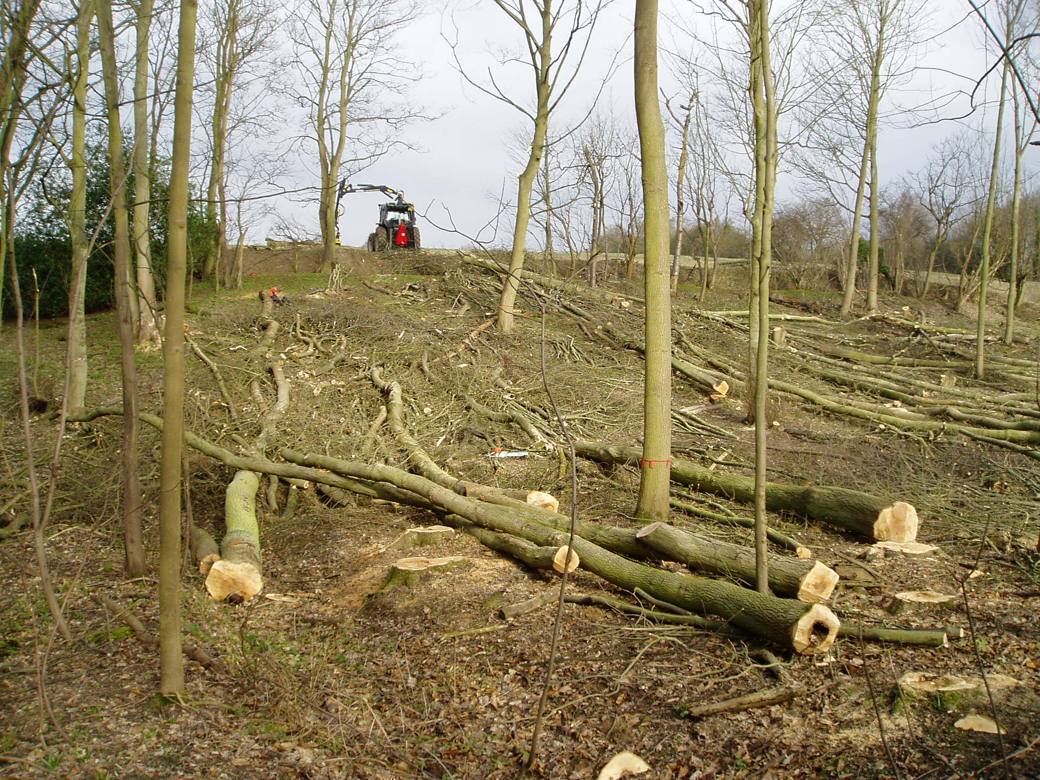 J.S.Forestry Winching